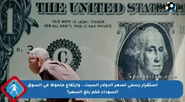 استقرار رسمي لسعر الدولار السبت.. وارتفاع ملحوظ في السوق السوداء فكم بلغ السعر؟